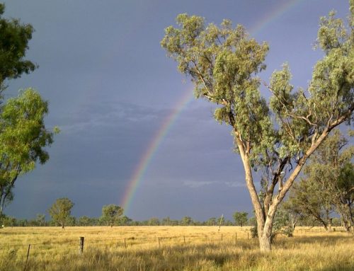 The Rights of Rural Australia